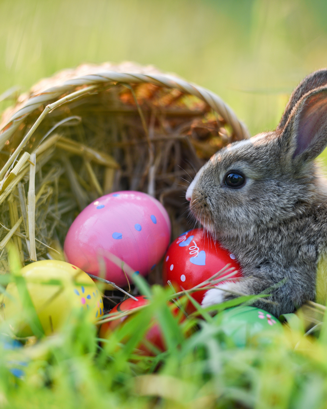 _Planning Avril 2026 (7)